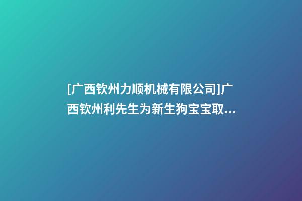 [广西钦州力顺机械有限公司]广西钦州利先生为新生狗宝宝取名时尚型套餐-第1张-公司起名-玄机派